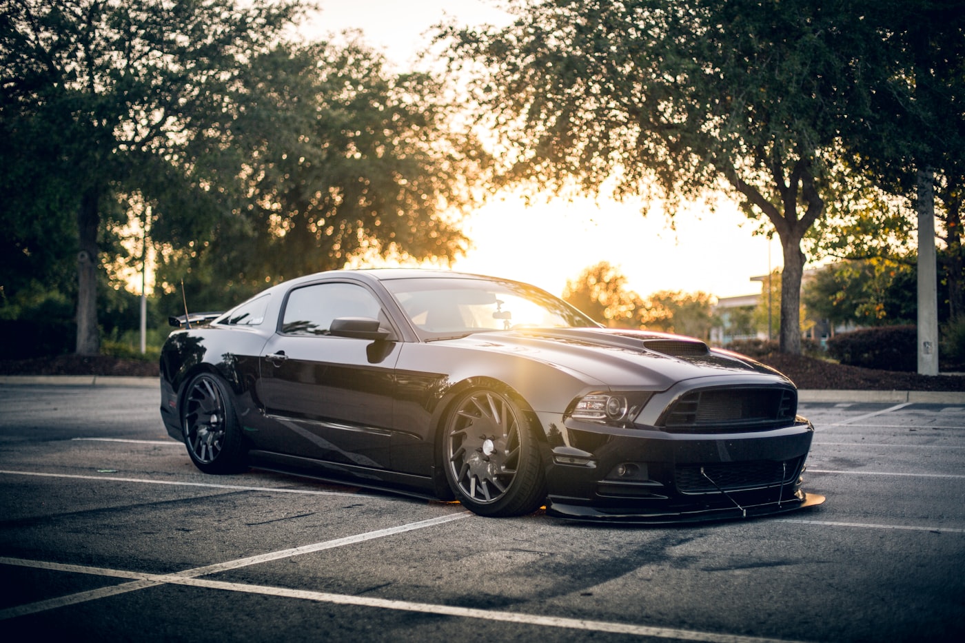 Ford Mustang negro estacionado bajo árboles al atardecer.