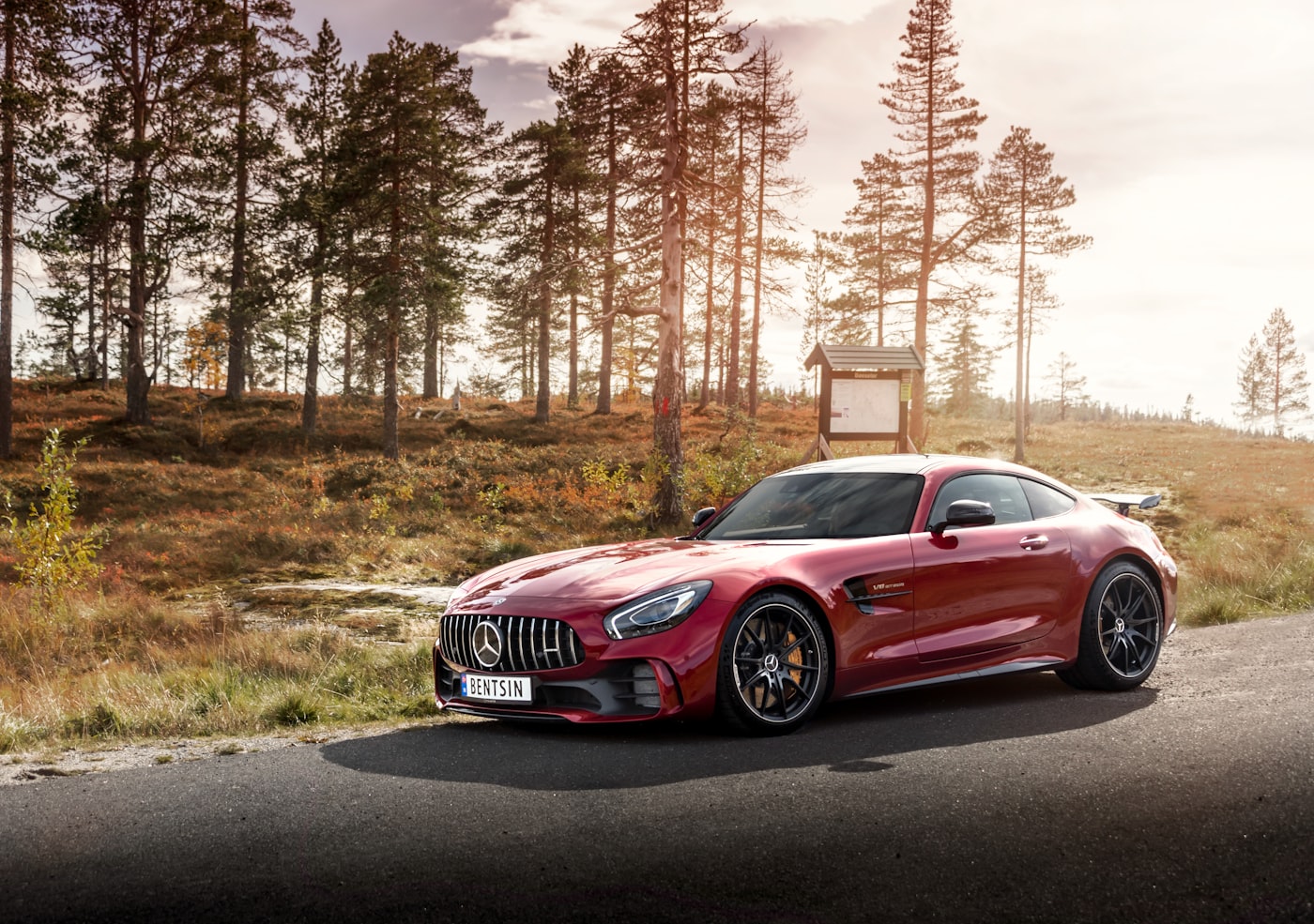 Mercedes-AMG GT R rojo en una carretera rodeada de pinos.